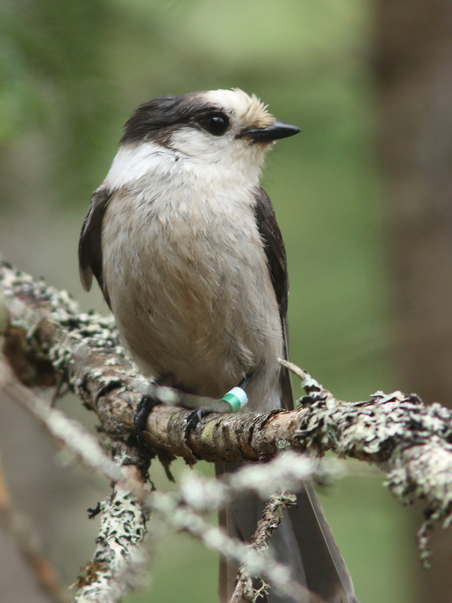Eagle-Eye Tours tweet media