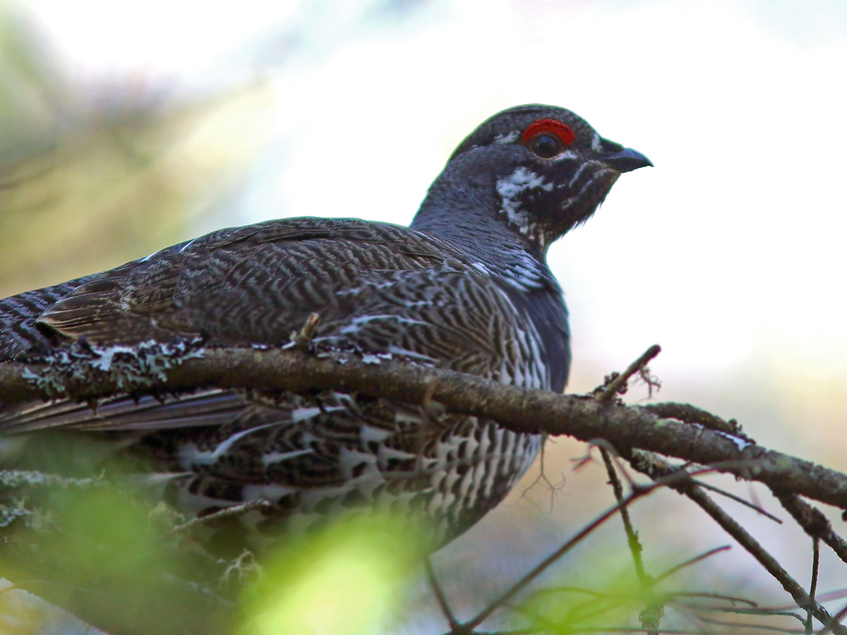 Eagle-Eye Tours tweet media