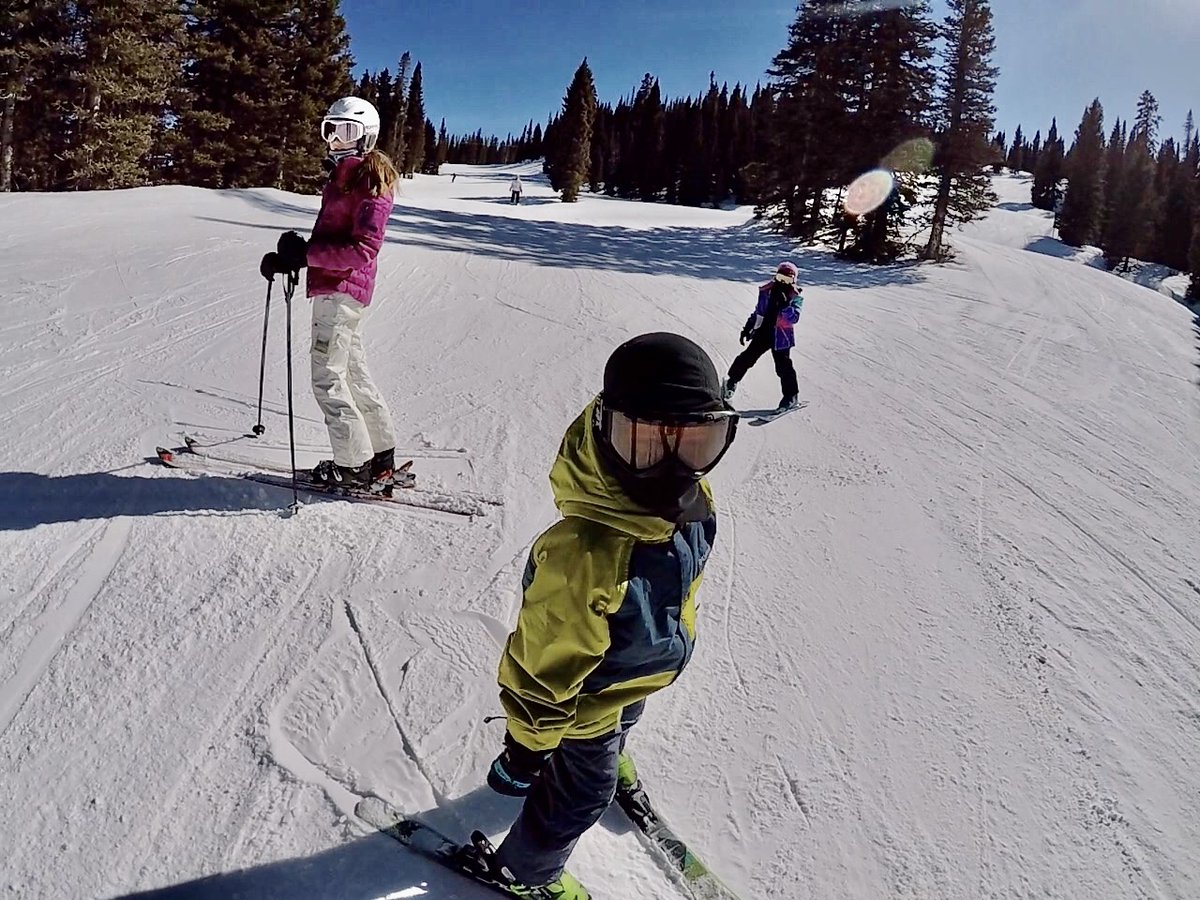 skipurg's tweet photo. A big thank you to everyone who has shared their #MissingPurg photos and memories with us! Check out our newest blog with all of the photos here: https://t.co/26WsHZx8bB https://t.co/YSBQ8tU7DU