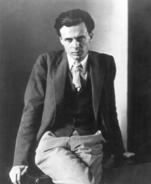 chansonspace's tweet photo. "People will come to love their oppression, to adore the technologies that undo their capacities to think."
- Aldous Huxley https://t.co/69QFbmsF4M