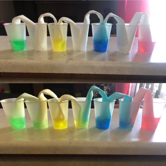 MorningGloryPS's tweet photo. Walking water from a JK and Grade 1 student #wackyscience #socool https://t.co/dRJi31LvB4