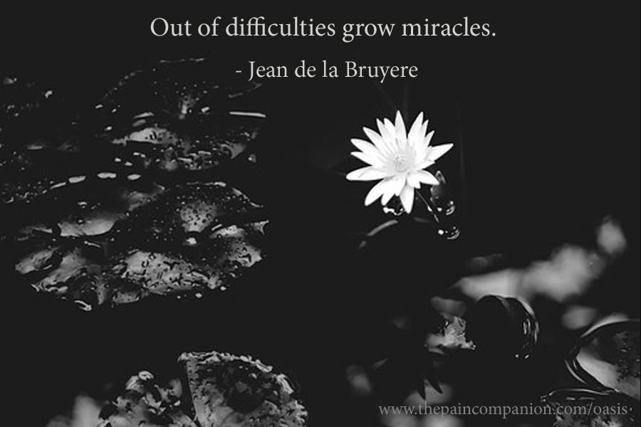 ThPainCompanion's tweet photo. #hope #chronicpain #chronicillness #fibromyalgia #positivity #quotes #thepaincompanion https://t.co/dRaw82Fl5o