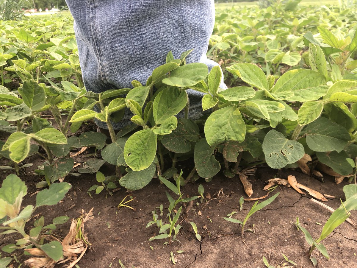 Garry Graham II tweet media