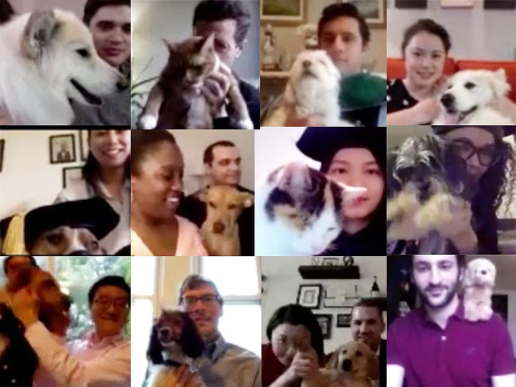 ColumbiaVPSAlum's tweet photo. Throwback to the pets we spotted during early VP&S #Commencement2020 , which took place digitally last week! Congratulations all new doctors from all the fur friends! ๐พ๐#VPSAlumni #RoarLions2020 #ColumbiaUniversity #ClassOf2020 #TopDoctor #ZoomPets https://t.co/ZbVLz45W1B