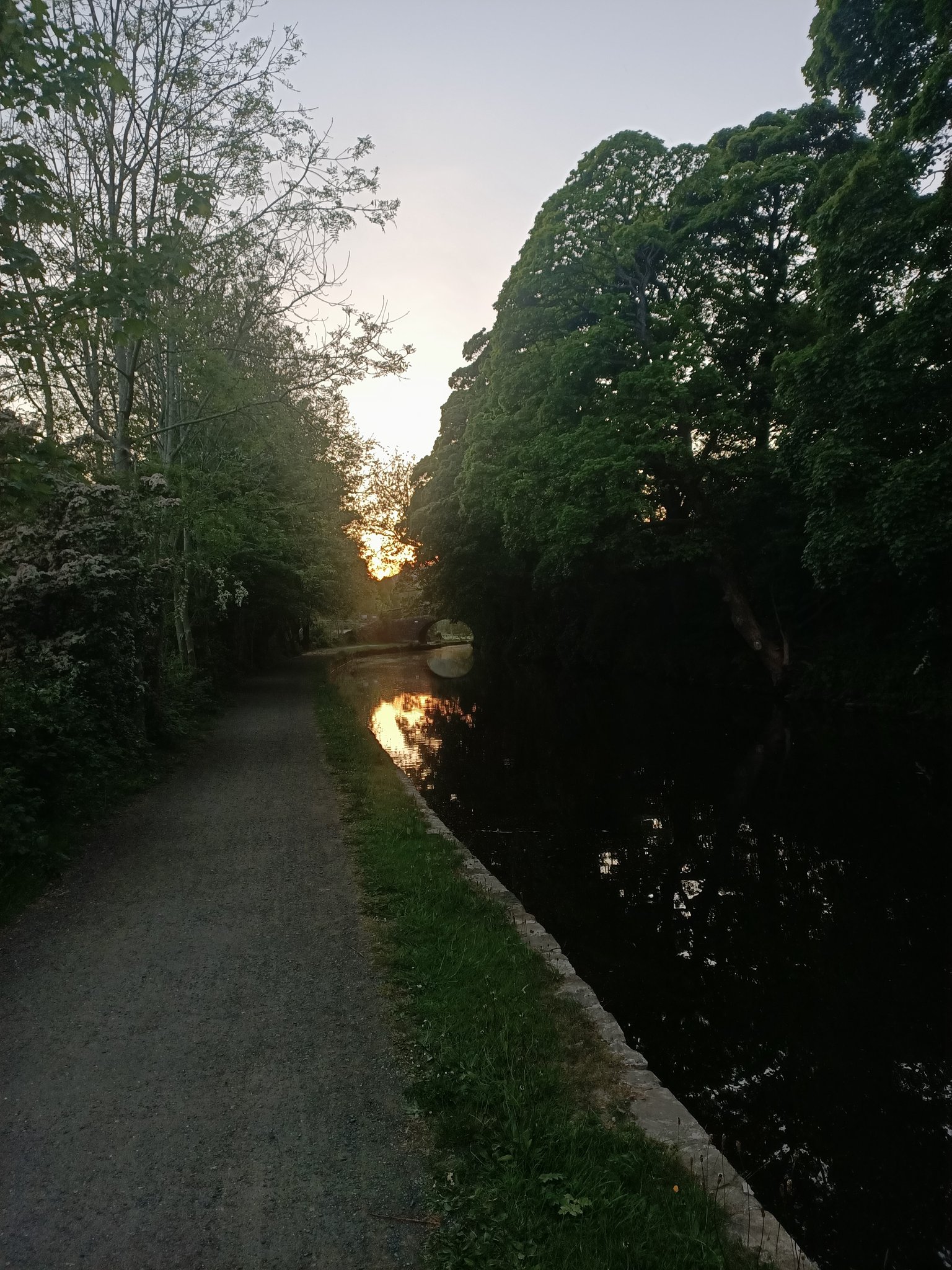 Sun on the canal