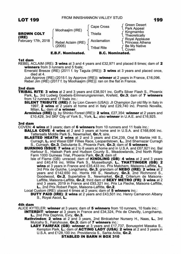 HorseSales.ie (@horsesalesie) on Twitter photo This smart looking son of @Rathbarrystud MOOHAAJIM is consigned by @darragh_24 Innishannon Valley Stud. His being present @tatts_ireland <a href="/Goresbridge2yos/">Goresbridge BreezeUp</a> Lot :199 View on our #BreezeUpPortal or visit horsesales.ie/all-horses/col… This smart looking son of @Rathbarrystud MOOHAAJIM is consigned by @darragh_24 Innishannon Valley Stud. His being present @tatts_ireland <a href="/Goresbridge2yos/">Goresbridge BreezeUp</a> Lot :199 View on our #BreezeUpPortal or visit horsesales.ie/all-horses/col…