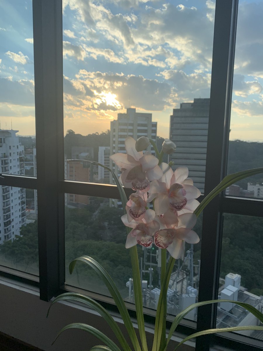 monicabulhoes's tweet photo. Mais um dia lindo se vai. Mas a fé e esperança permanecem em nós!
Deus é tremendo, confie!!!
#confiança #fé #esperança #amen #amém #paz #mb100df https://t.co/snLgpGY53Z