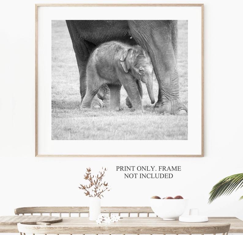 Elephants are one of the animals I could spend all day with. It always has a extra special meaning to me if I sell an elephant image as 10% of profits is donated to Cancer Research UK in memory of someone who loved elephants etsy.com/shop/natashaba… #MindfulGiftHour #UKGiftPm