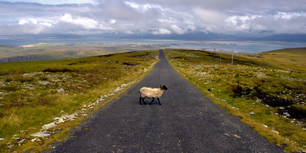 achilltourism's tweet photo. #AchillAwaits 

As Ireland starts returning to work, the roads are getting busier in #AmazingAchill 
We look forward to welcoming all our visitors back to #Achill when it's safe to do so!
#WhenWeTravelAgain #StaySafe 
@wildatlanticway  https://t.co/qfvq4rOR3K https://t.co/qDPct4MmDk