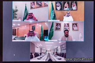 سمو أمير الجوف يستعرض تجاوب المواطنين والمقيمين لإجراء الفحص الاختياري - أضواء الخليج الإلكترونية - directly newspaper gulflights.net/new/s/73796#.X…