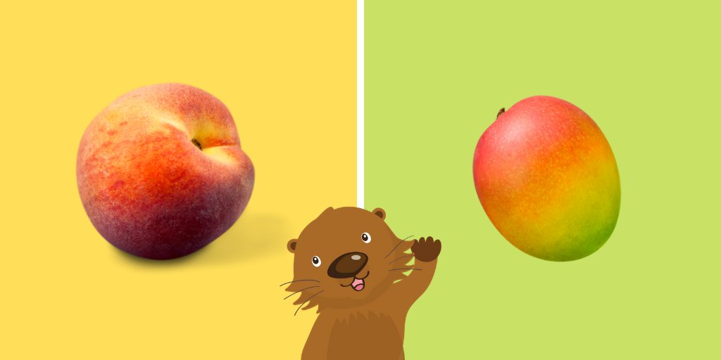 ItsPotter's tweet photo. Peaches or mangoes—what's your favorite? #FruitFaceoff🍑🥭 https://t.co/MMBtFhctZp