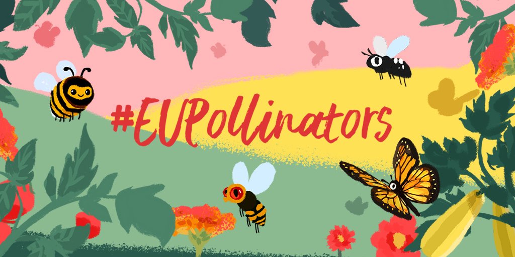 fondonatural's tweet photo. Iniciamos #semanadelabiodiversidad y el #diadelasabejas reivindicando la importancia de los insectos polinizadores en el equilibrio de los ecosistemas y producción de alimentos. #MiniReservas #WorldBeeDay #BiodiversityDay #biodiversityweek #EU_ENV #EUbiodiversity #EUPollinators https://t.co/9m2GyiNsZK