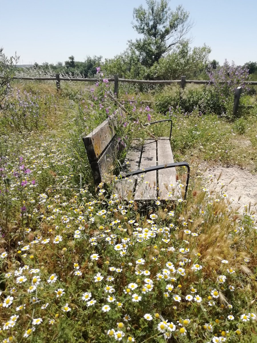 fondonatural's tweet photo. Iniciamos #semanadelabiodiversidad y el #diadelasabejas reivindicando la importancia de los insectos polinizadores en el equilibrio de los ecosistemas y producción de alimentos. #MiniReservas #WorldBeeDay #BiodiversityDay #biodiversityweek #EU_ENV #EUbiodiversity #EUPollinators https://t.co/9m2GyiNsZK
