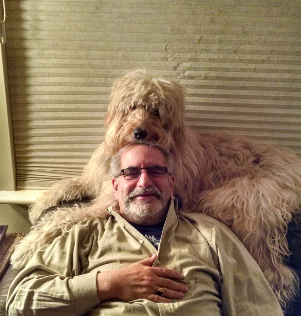 AIANJ's tweet photo. Jerome Eben, FAIA, the BIGGEST cheerleader for #Architects is at it again! Promoting the #ValueOfTheArchitect to friends and neighbors with his faithful pup, #ArchiPAC! #WestOrange #Architects #Architecture #AIA #AIANJ #AIANS #PublicAwareness https://t.co/kpE3QFX5HC @AIANational https://t.co/CohEu4iqA9