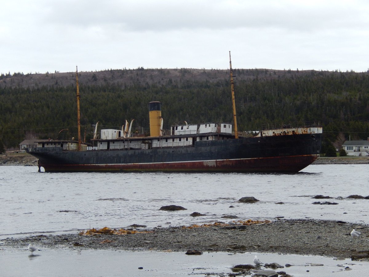 LadyVenomNF's tweet photo. Dildo and Harbour Grace β€οΈπ
#explorenl #nlwx #AmeliaEarhart #newfoundland #dildo #sskyle #harbourgrace https://t.co/OsBElNVqic