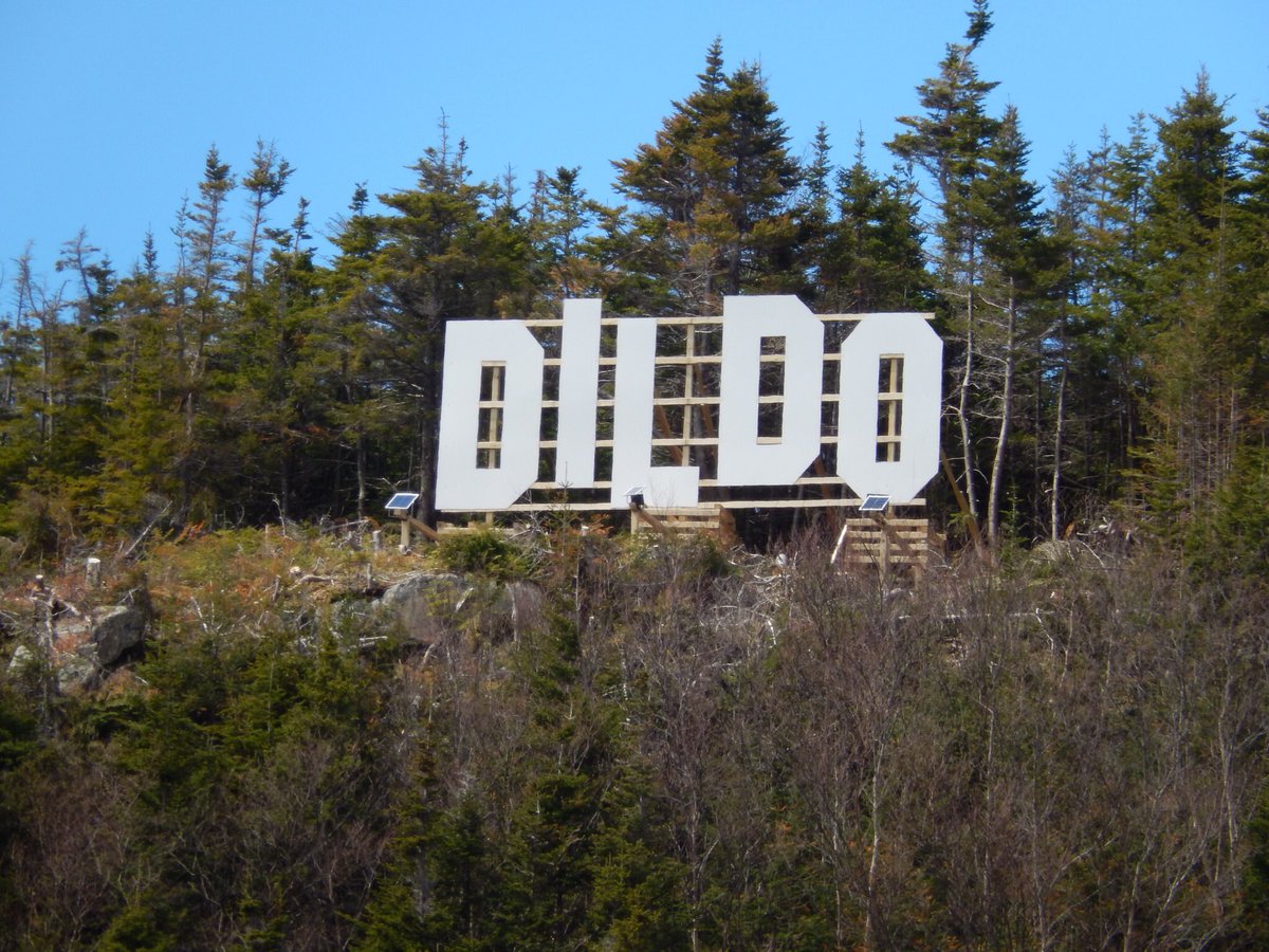 LadyVenomNF's tweet photo. Dildo and Harbour Grace β€οΈπ
#explorenl #nlwx #AmeliaEarhart #newfoundland #dildo #sskyle #harbourgrace https://t.co/OsBElNVqic