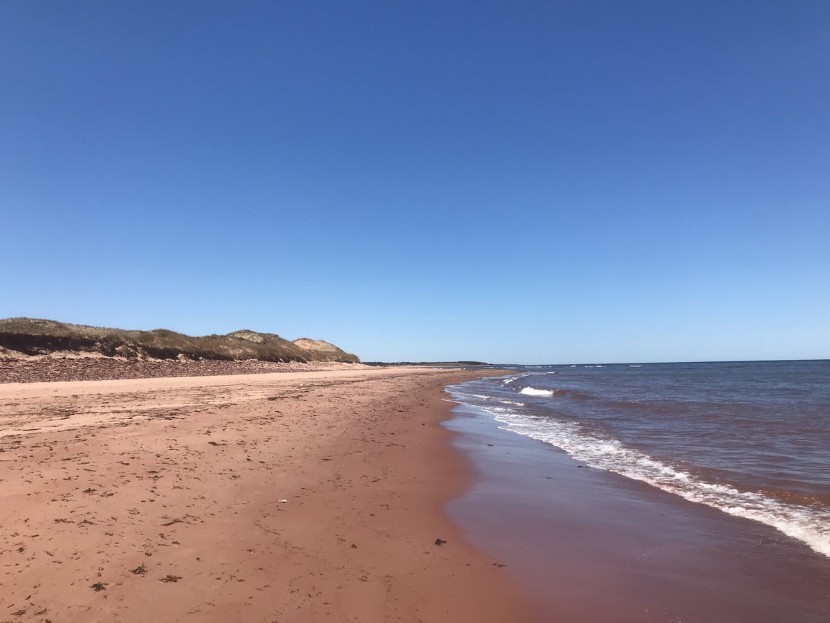 DonCheverie's tweet photo. Social distancing... #PEI style. #StaySafe https://t.co/hbTfDtKMgO