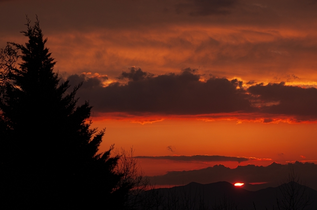 Wildfox Retrogames tweet media