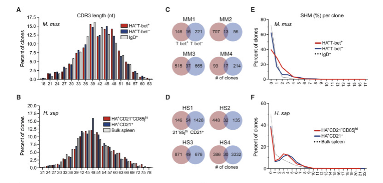 mmw_lmw's tweet photo. #Tbet Resolves #Memory_B_Cell_Subsets | Distinct Tissue Distributions and Antibody Specificities in Mice and Humans | Mike Cancro @Penn @ImmunityCP https://t.co/8hMPeXP1BY https://t.co/377kHHiLck