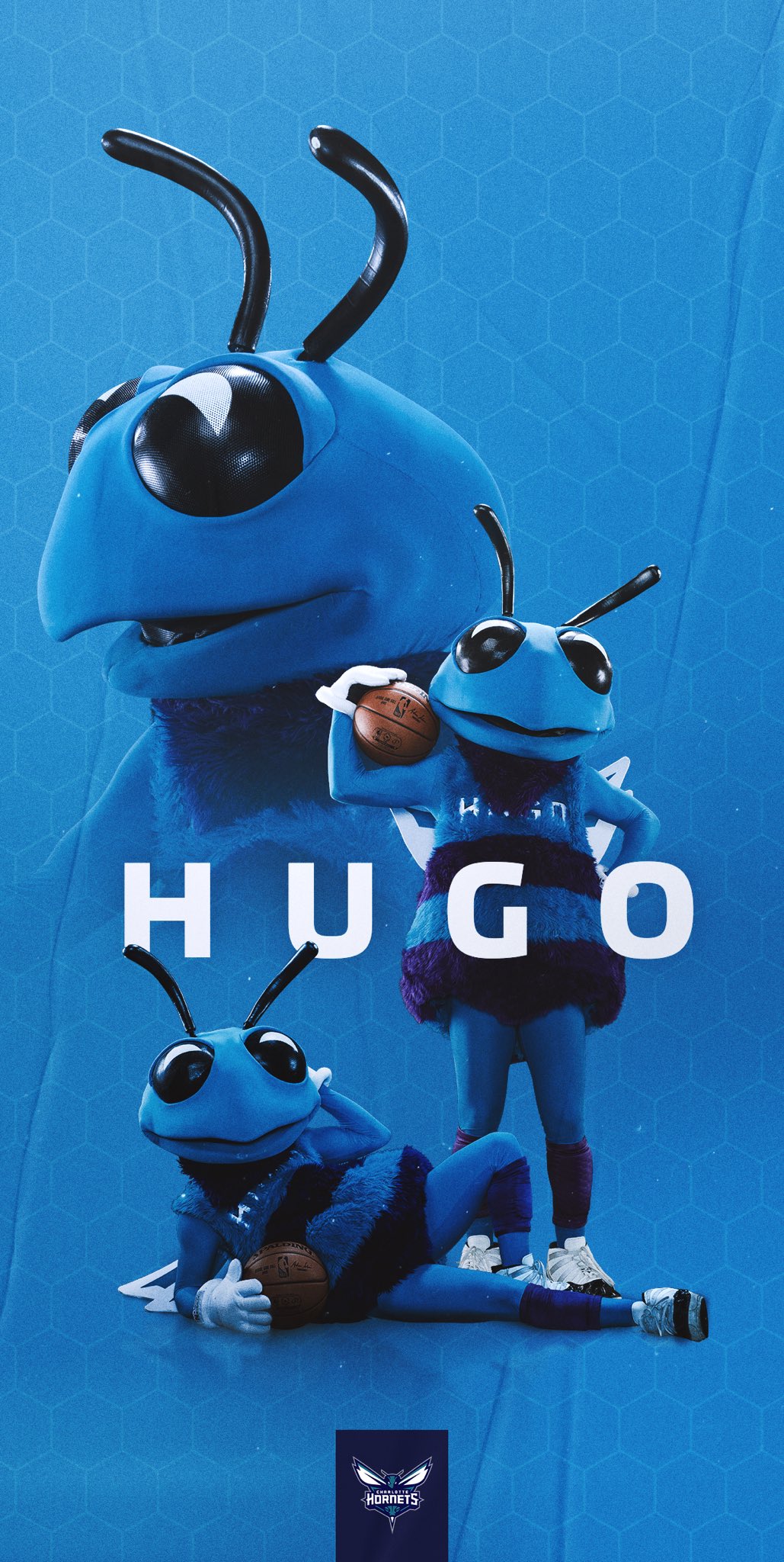 Download Charlotte Hornets Hugo Bug Wallpaper