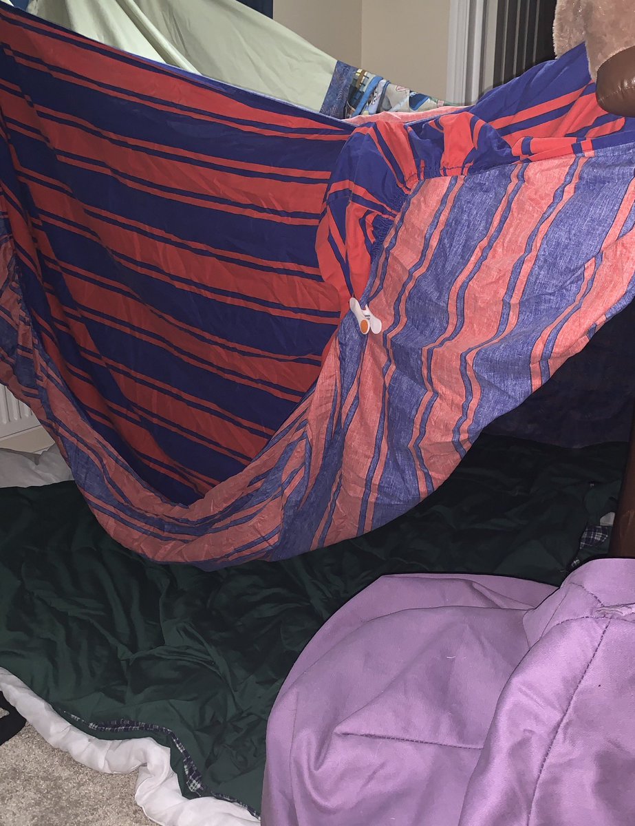 backpack2004's tweet photo. Rebecca enjoyed her homework #makeaden. Not sure I am looking forward to crawling through it later to get into my bedroom 😂@MissSuzieReid #homeschool https://t.co/Yiz2yPsSqK