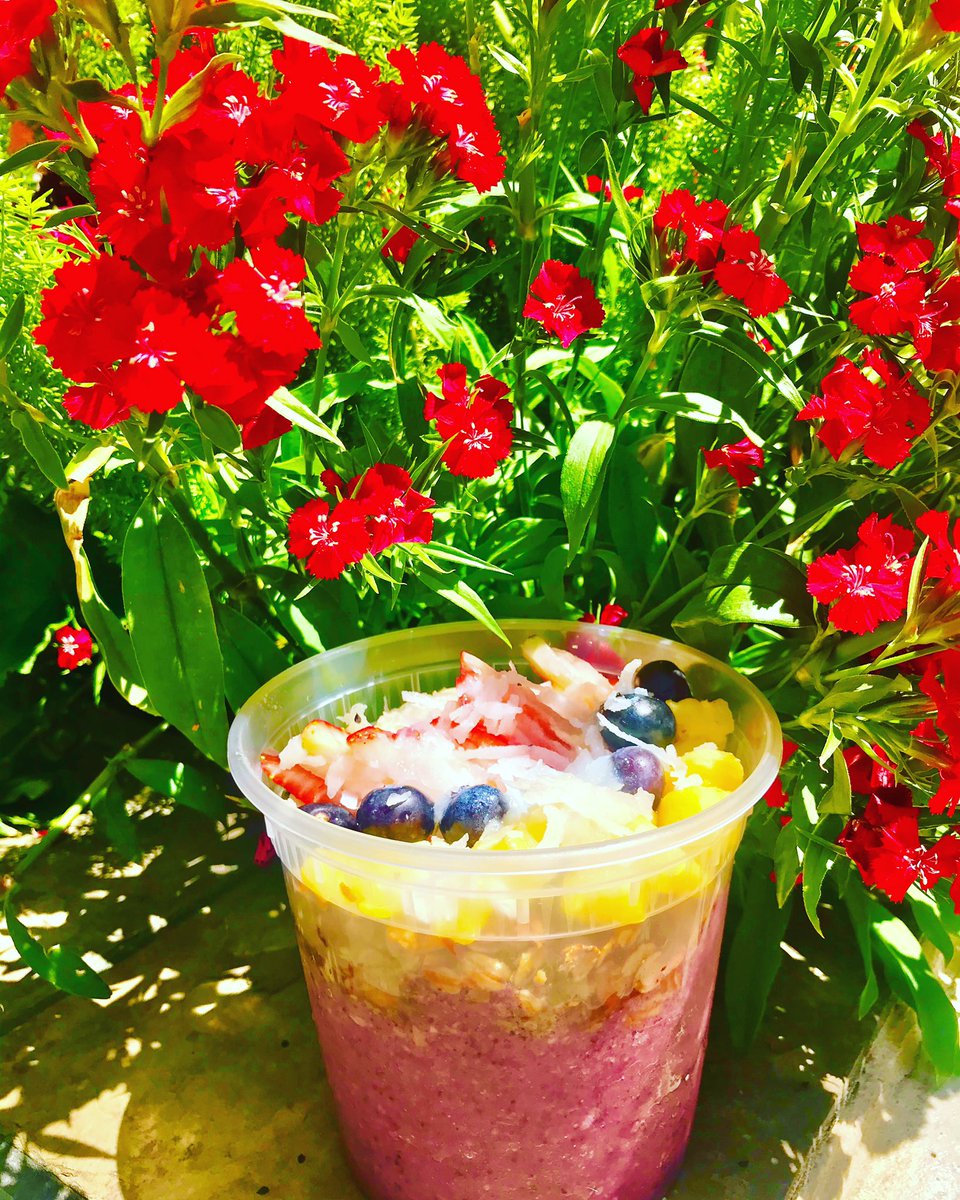 treelogycafe's tweet photo. There is always time for Açaí Bowl. Come try our delicious and refreshing Açaí Bowl ! 🌸 🌳 ☀️ #lunch #acaibowl #snacks #treelogycaferestaurant #healthyfood #supportlocalbusiness #takeout #supportsmallbusiness #pacificbeach #SanDiego #lajolla https://t.co/SdrK8Fgw30
