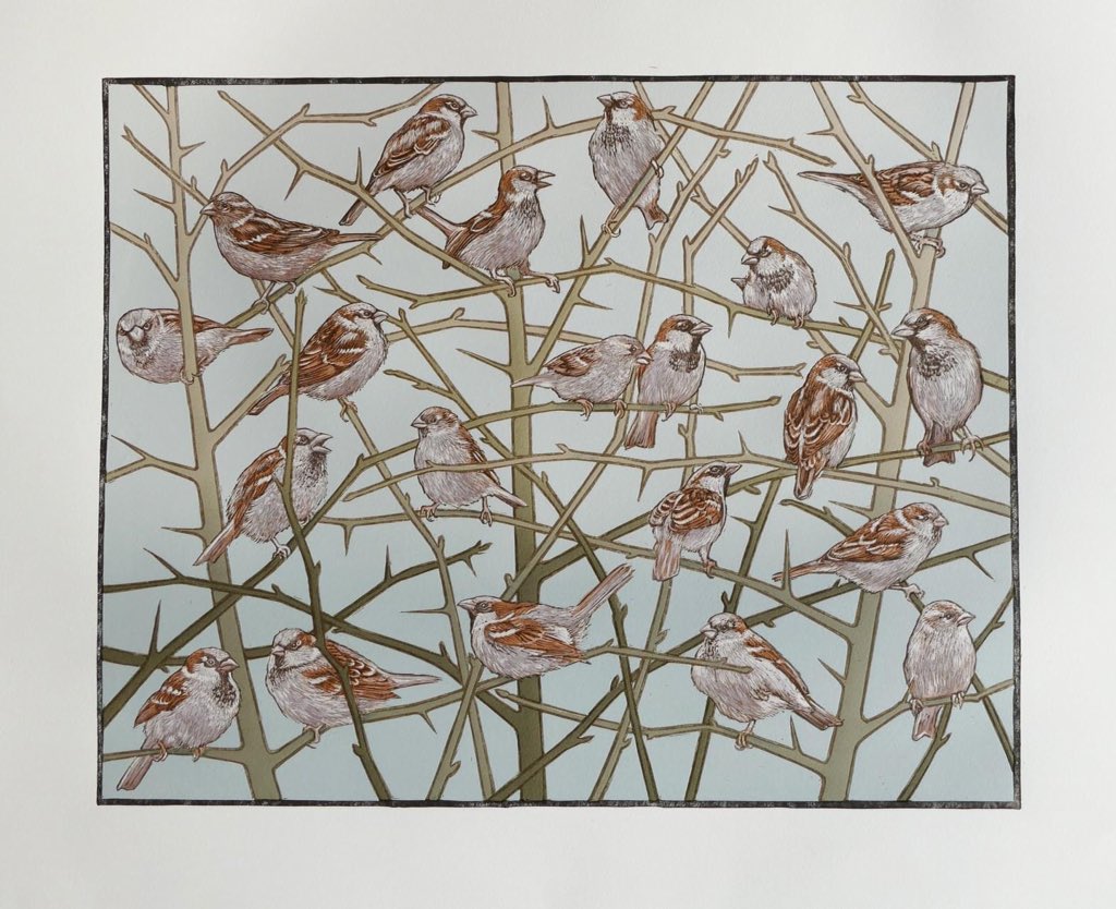 Capreolus333's tweet photo. Ring the bells and shout huzzah! Lockdown project complete at last!
'Spuggies'; linocut and screenprint; image size 50 x 40 cm. Will be an edition of approx 15.
For sale from tomorrow. https://t.co/LLNF98qsPg