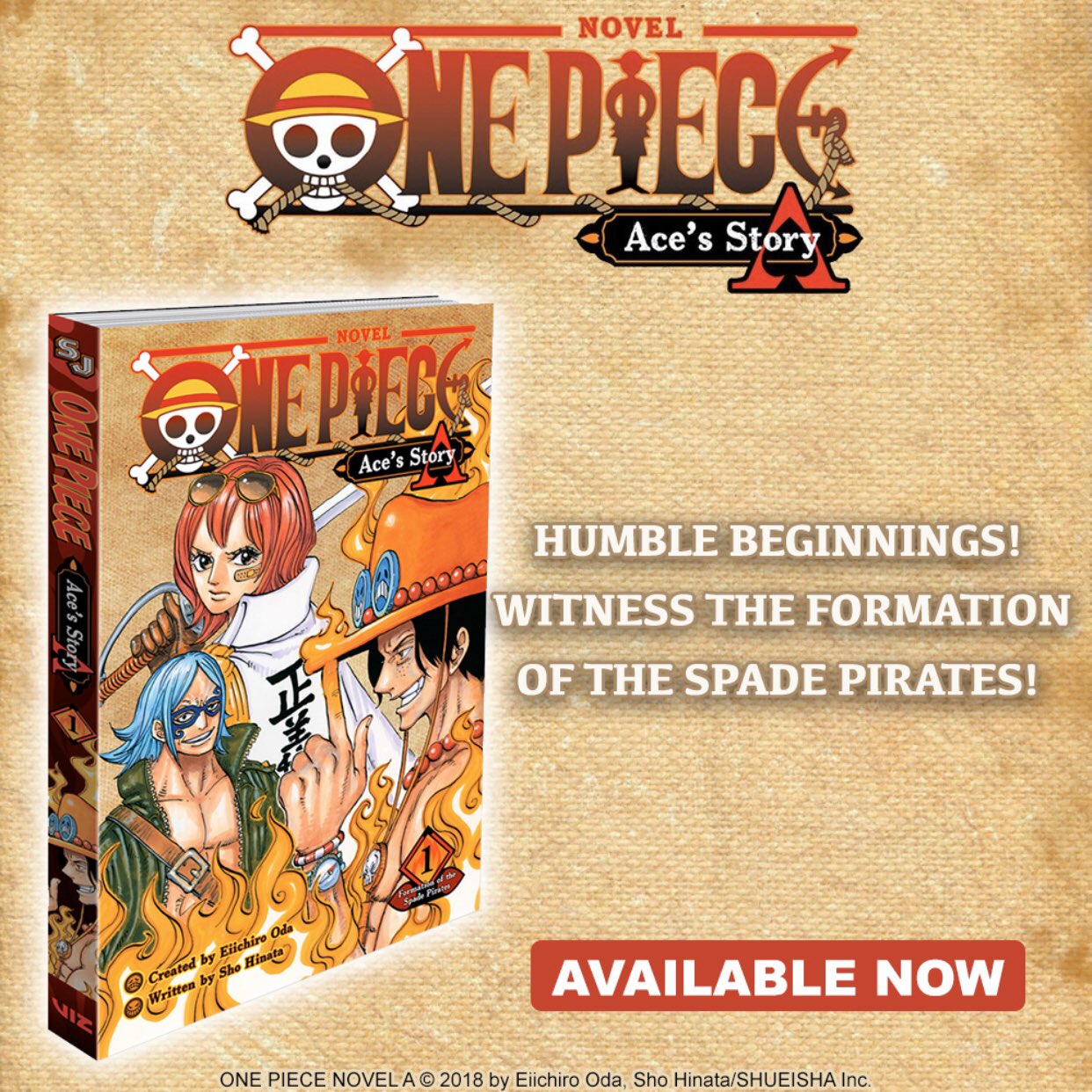One Piece Us On The Fence About Picking Up Onepiece Novel Ace S Story You Shouldn T Be Read A Free Preview From Vizmedia Below T Co Yjpfu2cdjh T Co Madfqhv3px Twitter