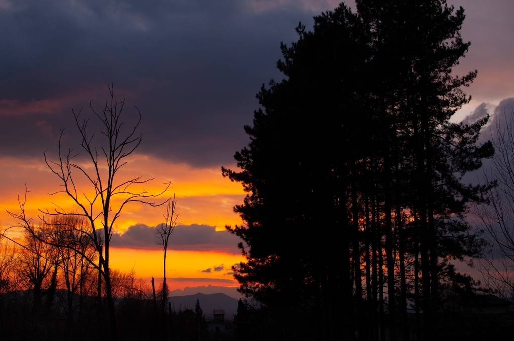 Wildfox Retrogames tweet media