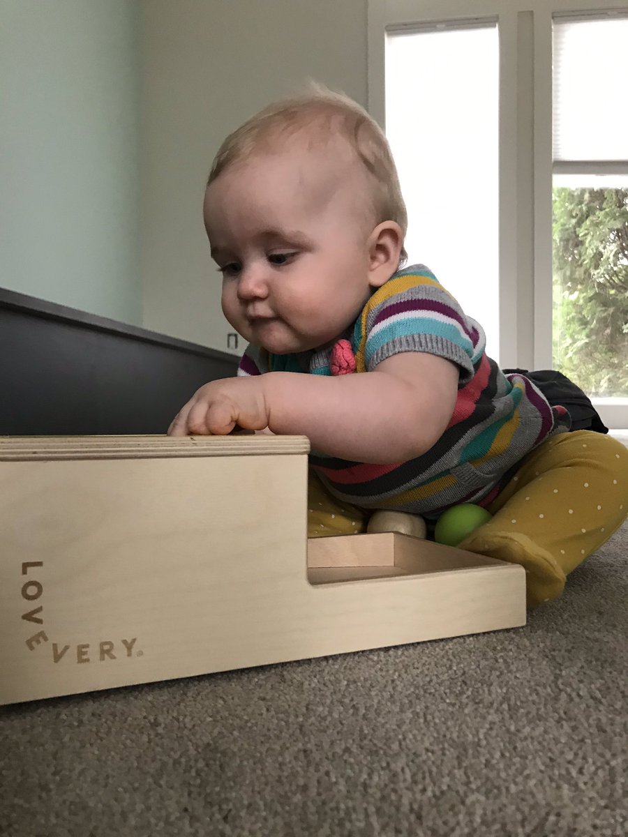 ClareTries1's tweet photo. @loveverybaby someone is loving her new toys ❤️ thank you!!! https://t.co/BhrtkXVSid