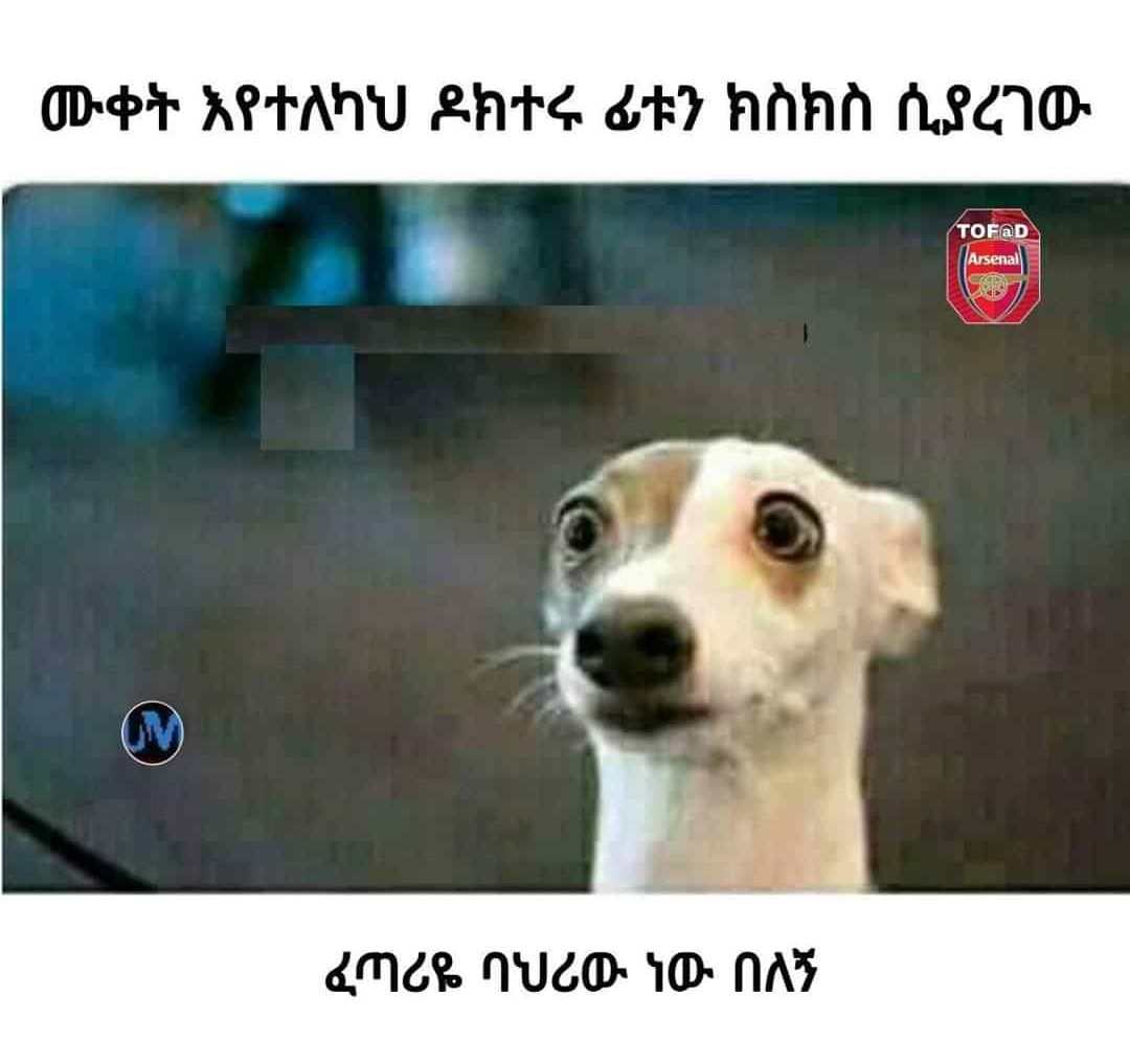 habeshan_meme's tweet photo. #Ethiopia 🇪🇹🇪🇹🇪🇹 #COVID19Ethiopia https://t.co/loXHFHV4hf