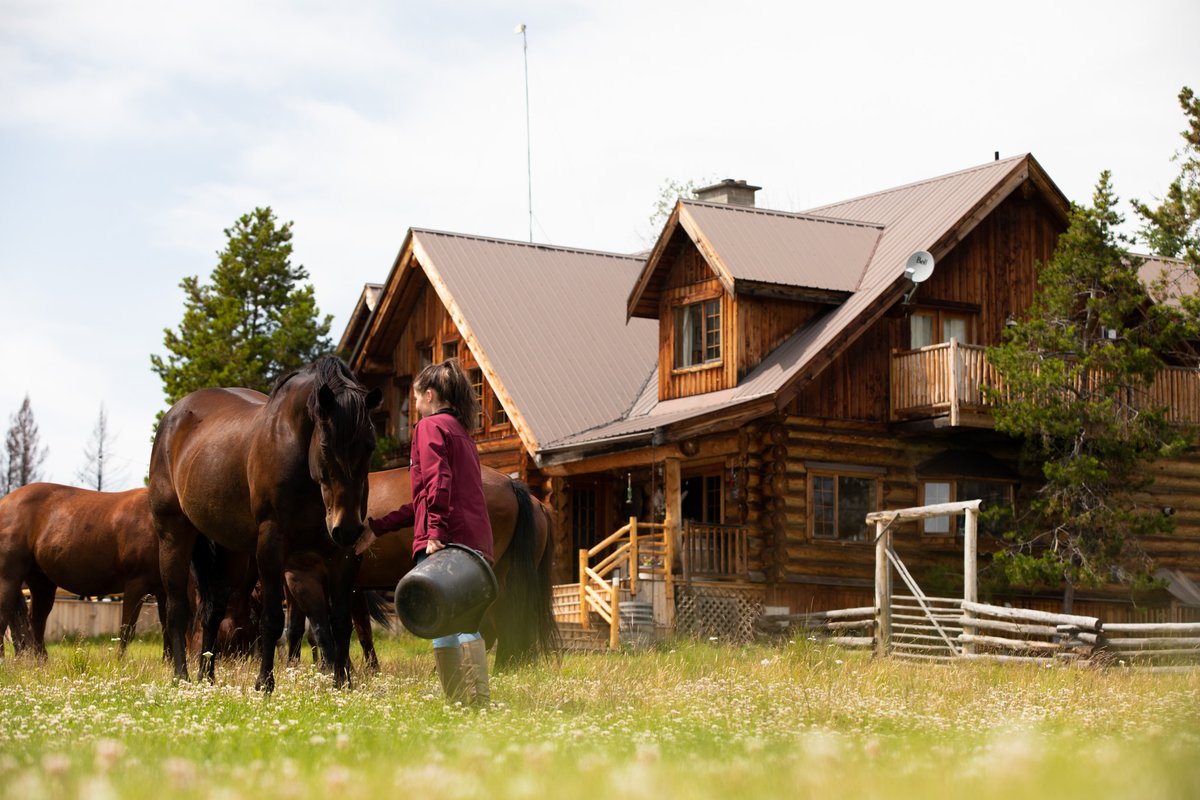 We're grateful to have such happy healthy horses to keep us company through these turbulent times. Watching them so peacefully grazing in our home meadow is therapeutic in itself.

#CCCLives #RoamBCFromHome #ExploreBCLocal #ExploreBCLater #NatGeoTravel

PC: <a href="/taylormichburk/">Taylor Burk</a>