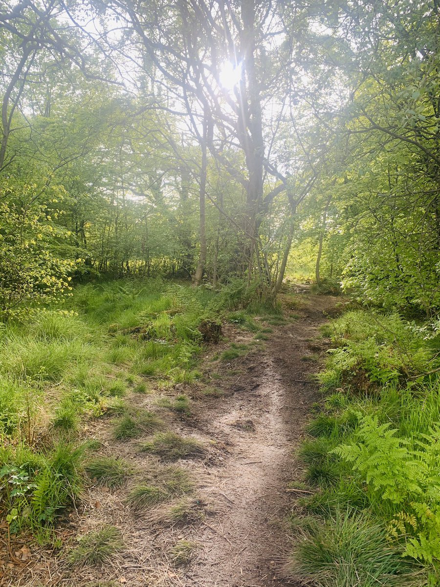 elainefitzp's tweet photo. Back in the game! 10k tonight for @thewhynottrust Living away from my family is hard, but I am so pleased to be able to do it in my home village #securityofthefamiliar #homeforever #motherland #Glenmavis #WalkDownTheLockdown https://t.co/DHYtGFnUVy
