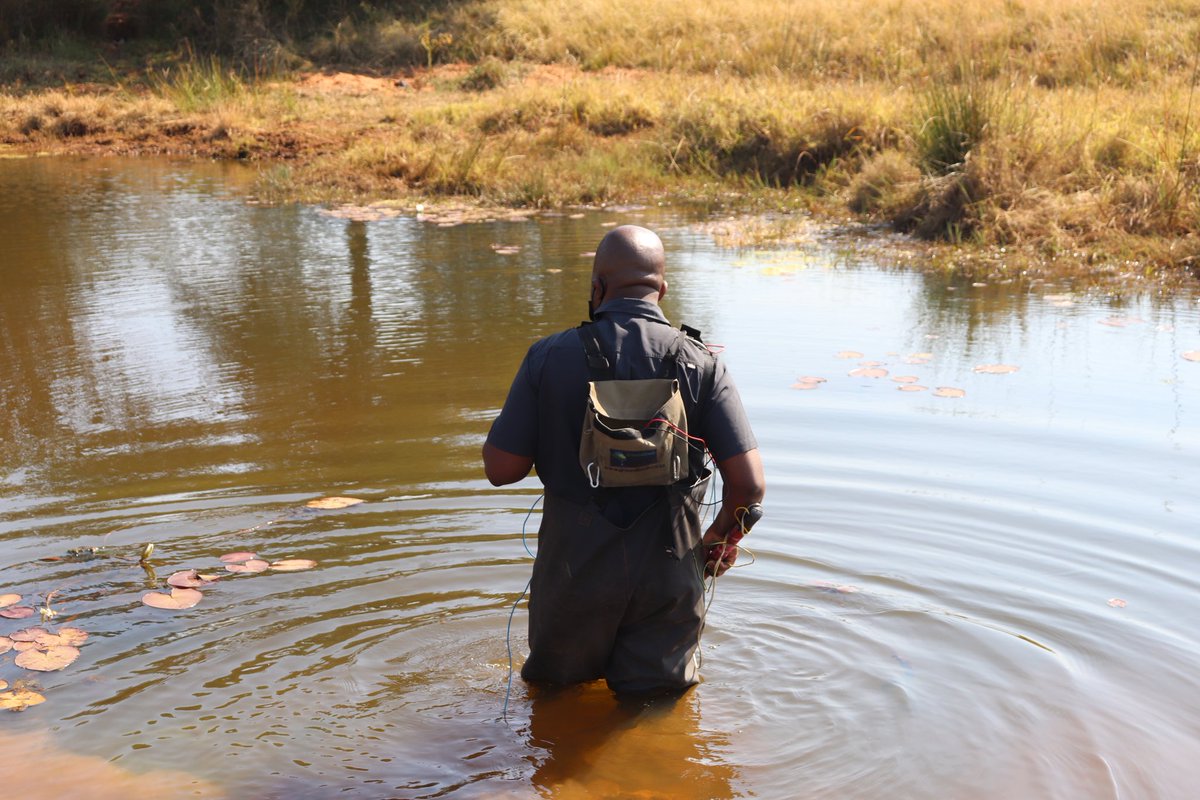 MORA_Ecology's tweet image. Day 2 of #Biomonitoring #SASS5 
Should you require our services, please contact us on info@moraecological.co.za or call 0814103763