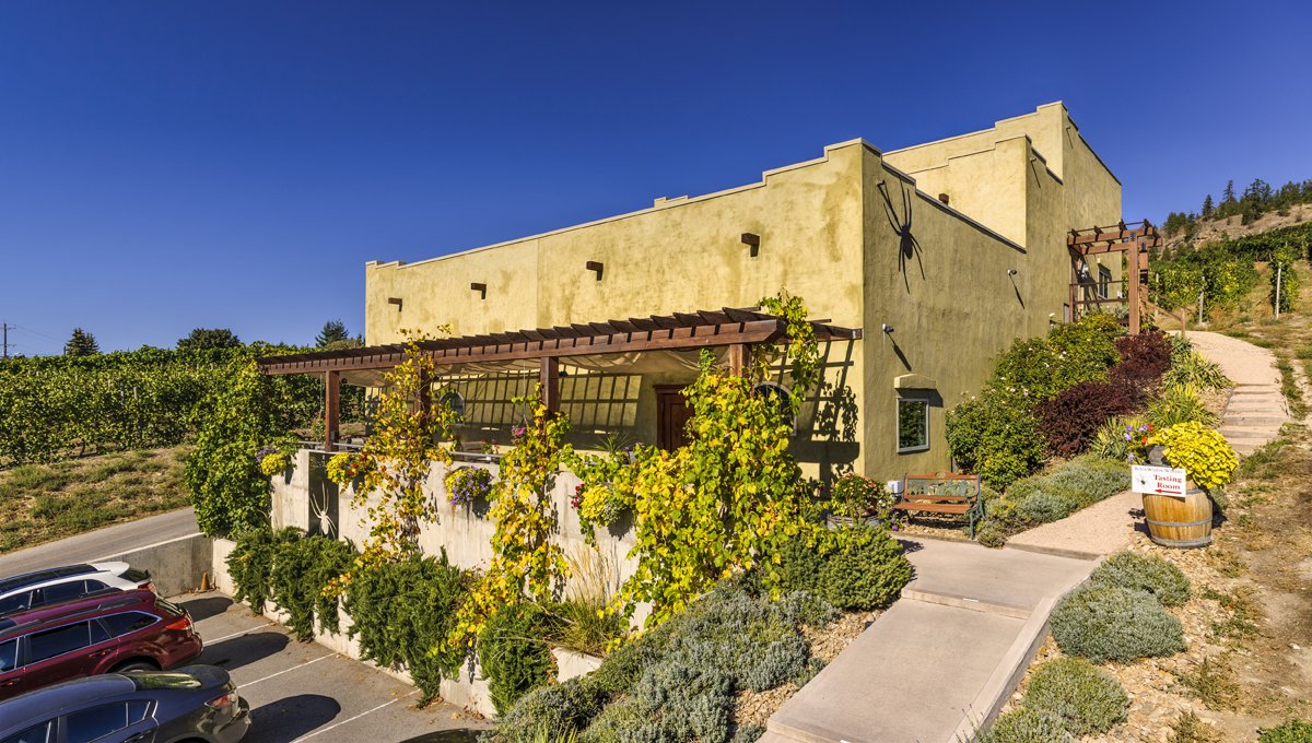 Tasting Room Re-Opening - *x.com/blackwidowwine*