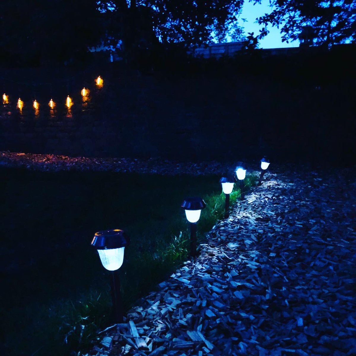White8's tweet photo. Garden vibes! Loving our garden revamp. #lockdown2020 #heatwave #Covid_19 #coronavirus #gardening #kensalgreen #lights @8niff https://t.co/9TNWywERIo