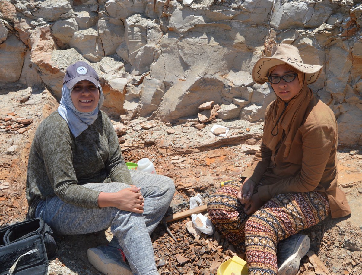 heshamsallam's tweet photo. #Egyptian  #women in #paleontology -- @Shorouq82939869 
#womeninscience #geology #Egypt #MUVP https://t.co/eSWIK3n22W