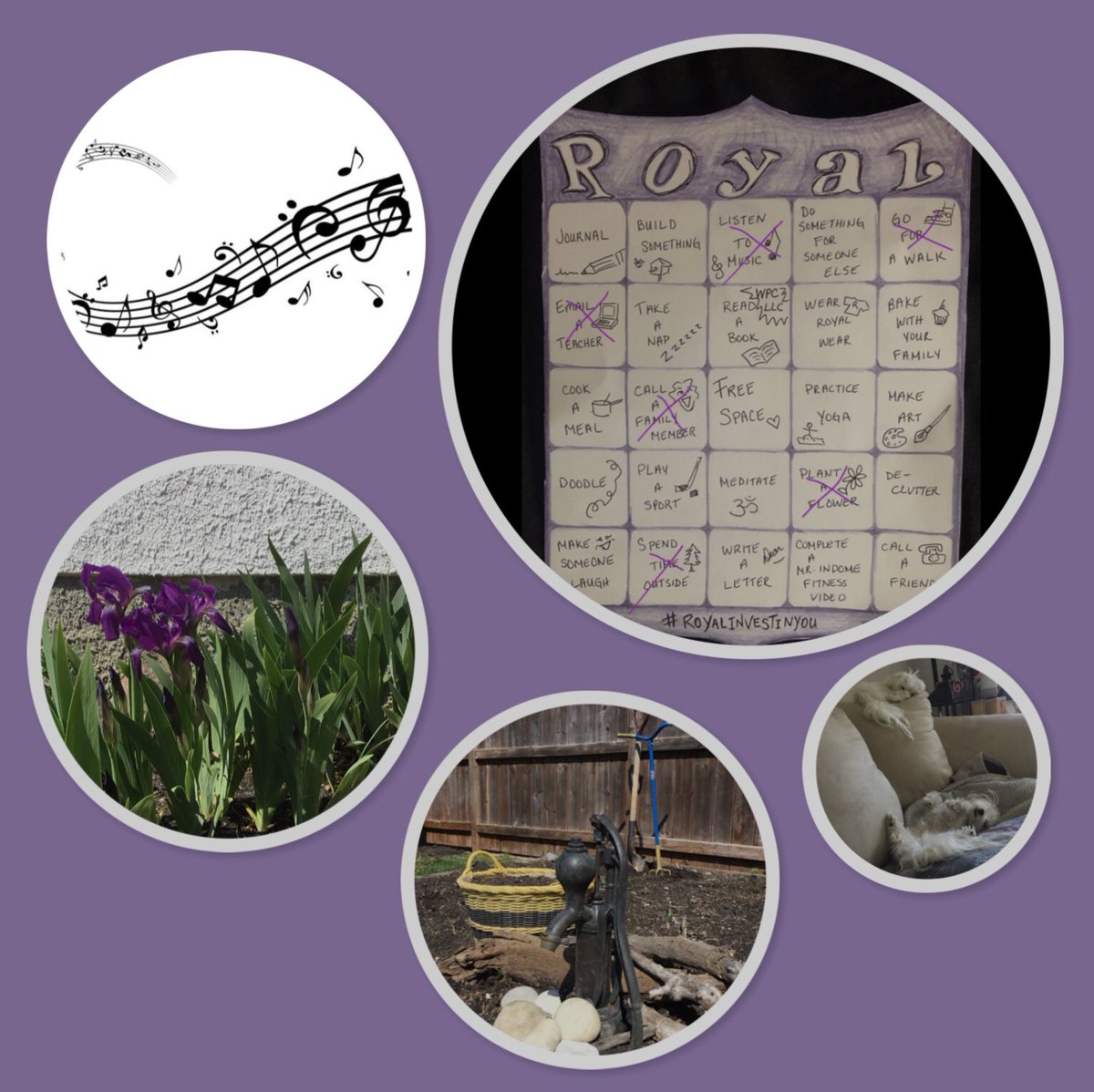 Jeannine (@jeanninelabiuk) on Twitter photo Crossed a few more things off wellness bingo this afternoon! #royalinvestinyou <a href="/wpcLRSD/">Windsor Park Collegiate</a> Crossed a few more things off wellness bingo this afternoon! #royalinvestinyou <a href="/wpcLRSD/">Windsor Park Collegiate</a>