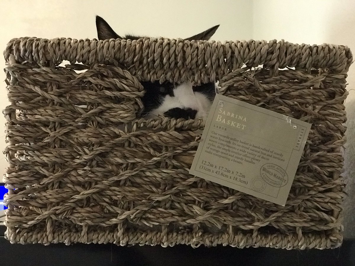 enjoicat's tweet photo. rate my setup @worldmarket https://t.co/WhIg524GWE