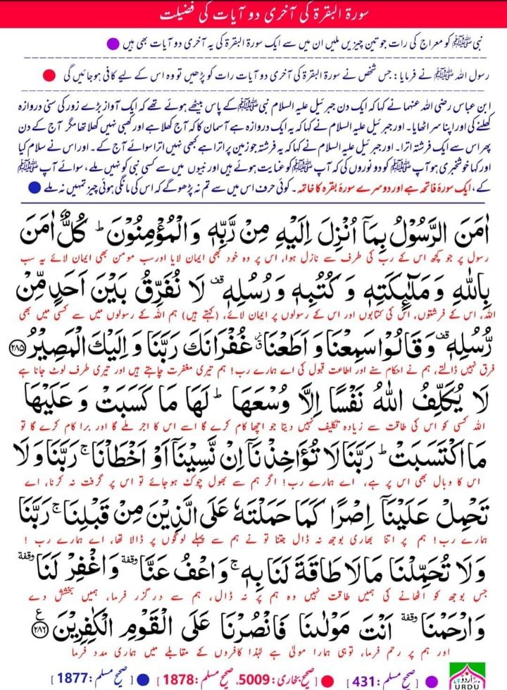 UsaibSyed's tweet photo. May Allah tallah accept our heartiest dua's and guide us all through the right path. Ameen.❤ #شب_قدر https://t.co/6BQv7SiXLv https://t.co/EgRTZET7wt