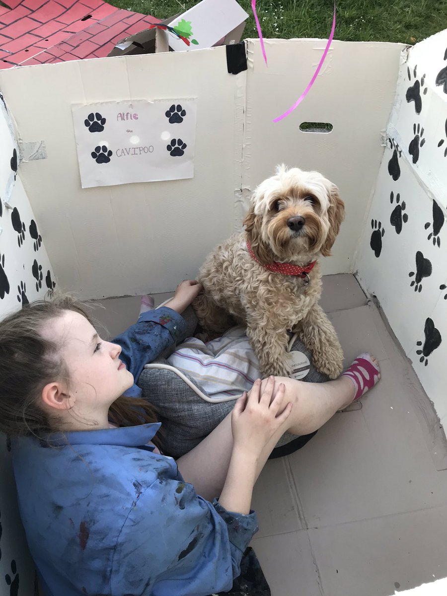 bobmed1975's tweet photo. @MissEBurden @MissGalerog this is Maddie’s animal dwelling task, she measured, cut, painted and built it all by herself. I just had to get a car load of cardboard from Morrison’s! Alfie has a new house complete with porch, decking, wall art and fence! #gobigorgohome #2dayswork https://t.co/K1Sn3XWSz1