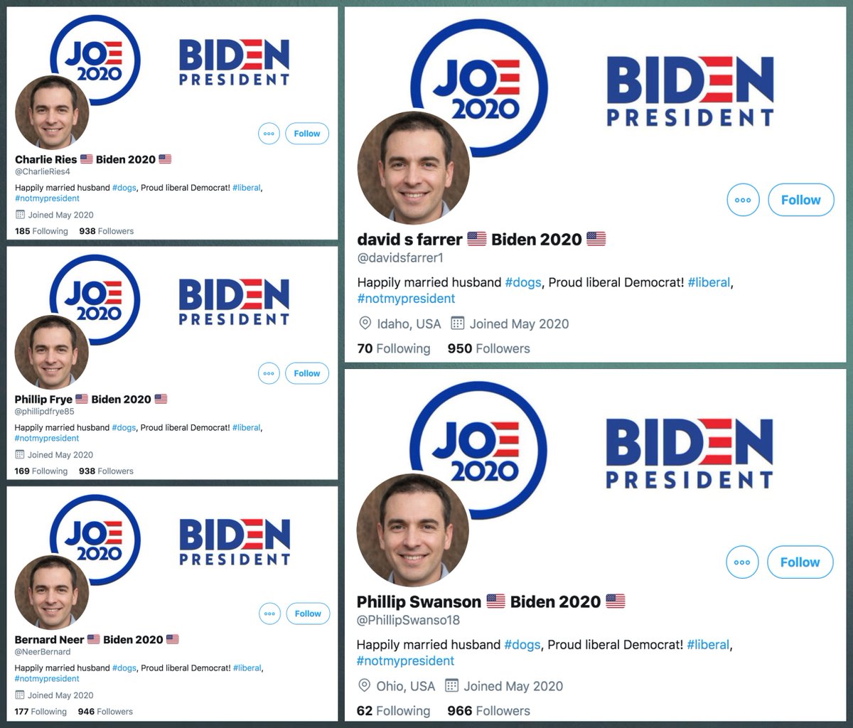 Meet  @CharlieRies4,  @davidsfarrer1,  @NeerBernard,  @phillipdfrye85, and  @PhillipSwanso18, who are apparently a group of happily married dog-loving pro-Biden quintuplets who all joined Twitter in May 2020.cc:  @ZellaQuixote