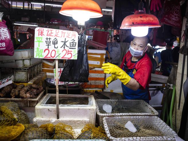 Corriere's tweet photo. Svolta a Wuhan, città-culla del coronavirus: vietati la caccia e il consumo di animali ... https://t.co/1H03L35i4Q https://t.co/DiazJnhsyo