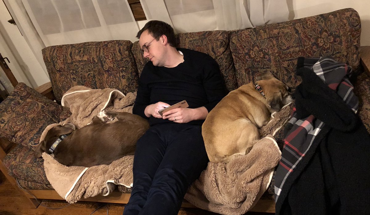 PeteButtigieg's tweet photo. From our pups to yours, a very happy #NationalRescueDogDay https://t.co/PCNLa8teMp