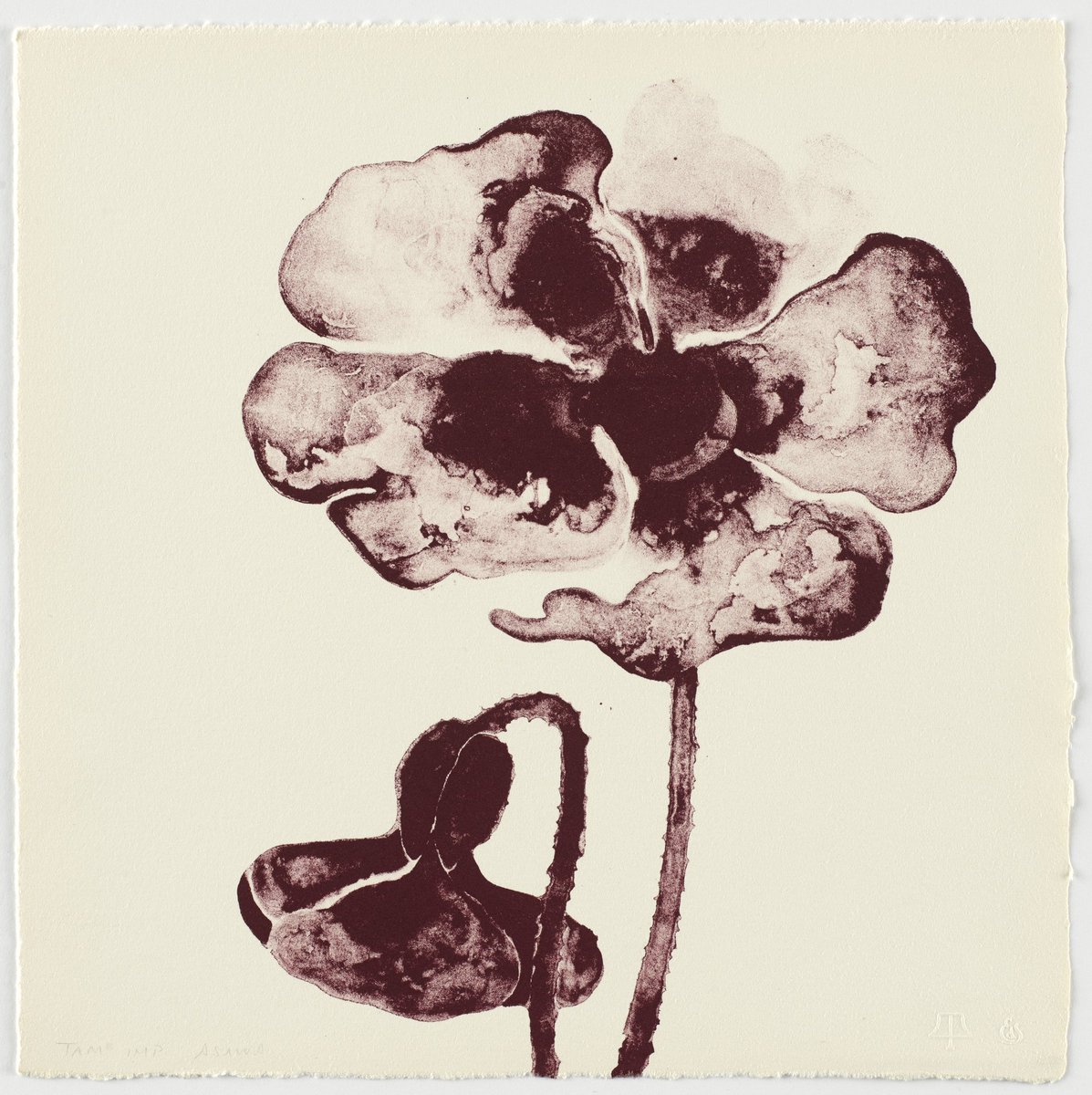 MuseumModernArt's tweet image. Spring blooms courtesy of Ruth Asawa  🌺🌷🌸🌼

These lithographs are from the artists' 1965 portfolio, "Flowers." Still fresh! 💐