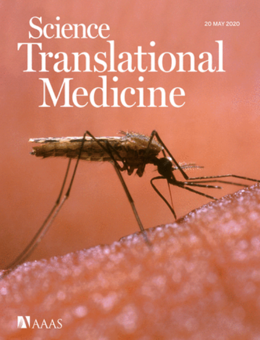 <a href="/IMMolecular/">iMM</a> rocks! 

4 beautiful fresh (non-covid-19) stories 

Starting by the one that just came out

* a new malaria vaccine (95% protection)

stm.sciencemag.org/content/12/544…

<a href="/ScienceTM/">Science Translational Medicine</a> 

by M. Prudêncio team

in the news
publico.pt/2020/05/20/cie…

Curious about the others - see below