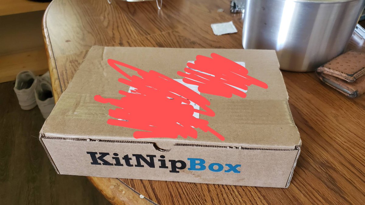 Mastur_Fate's tweet photo. Osiris has a secret admirer, we're gonna open this up on stream in a few minutes at https://t.co/5xSymT3Sg1

#streamerkitty #osiris #twitch #catsoftwitch https://t.co/qJjxrhI0ac