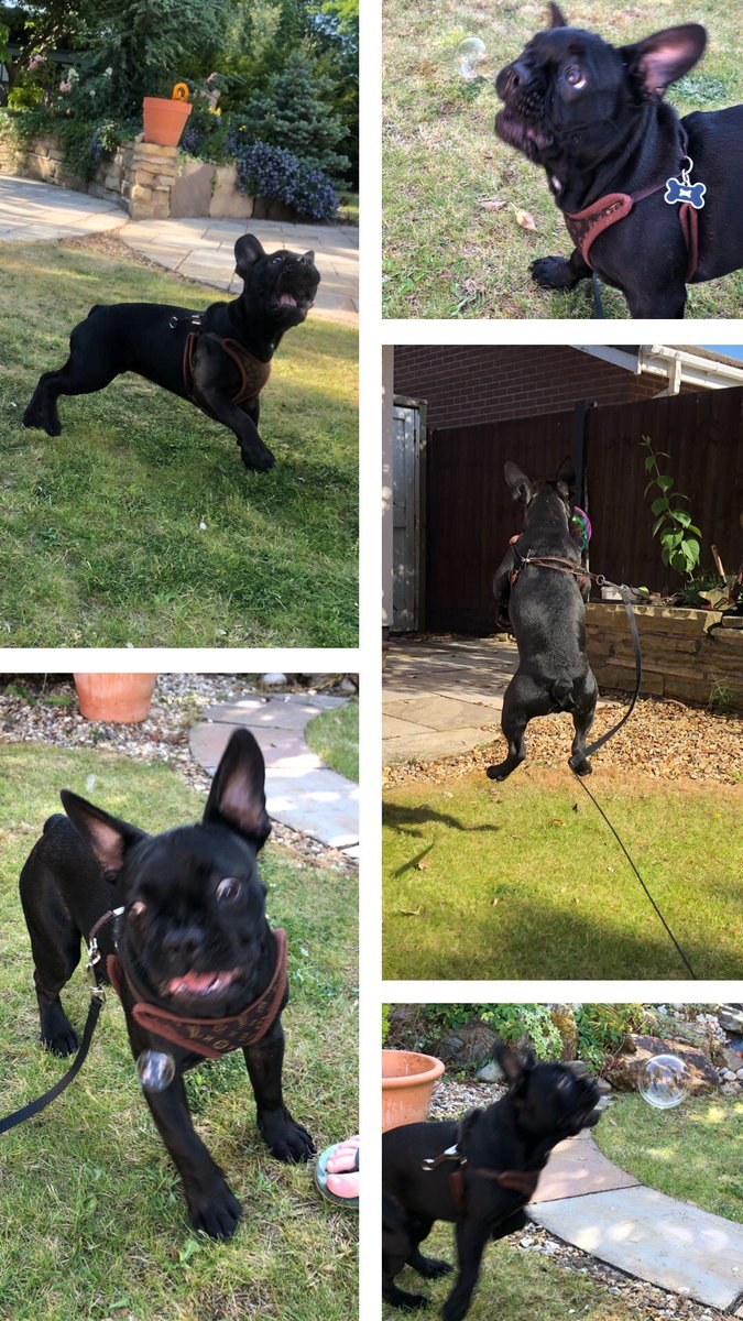 Did this with Fendi today and omg the pictures 😭😭😭