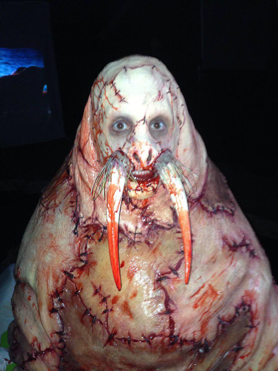 Danii Horror tweet media