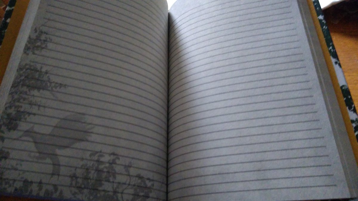SusanJSilberman's tweet photo. @songbirdssnakes if Suzanne Collins is wondering why Ballad of Songbirds &amp; Snakes is only #2 on Amazon, it's bc the Journal was sold as a hardcover pre-order directly beneath the Kindle version. Many folks mistakenly pre-ordered a blank Journal...which is now the #1 New Release. https://t.co/JkYjjHIIvX